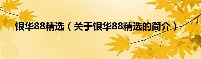 银华88精选（关于银华88精选的简介）