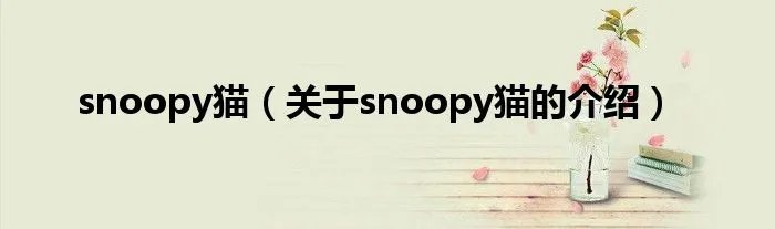 snoopy猫（关于snoopy猫的介绍）