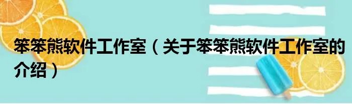 笨笨熊软件工作室（关于笨笨熊软件工作室的介绍）