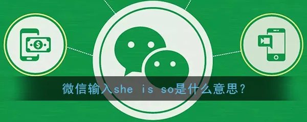 微信输入she is so是什么意思?