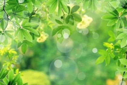 立冬打雷，未立冬先打雷好不好？立冬节气下雨有说法吗？