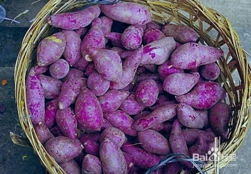 杨威双胞胎满月 备孕夫妻如何才能怀上双胞胎？