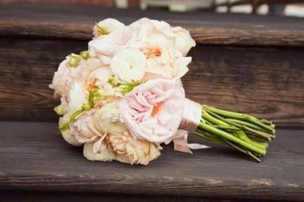 阿青卫子丹小说 阿青卫子丹免费阅读