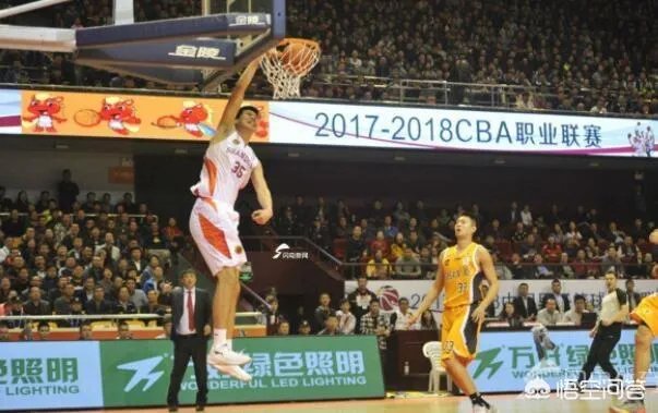 山东男篮官宣签约前火箭旧将坎南,将和塞尔登组成双小外援,双小外援会获得成功么?