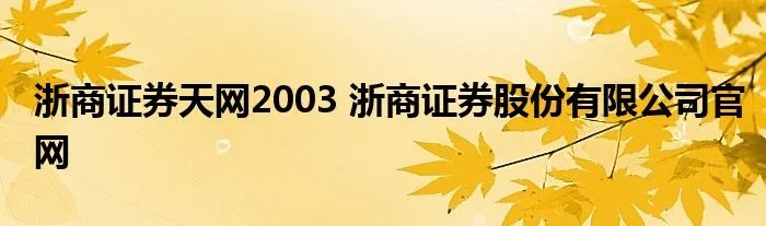 浙商证券天网2003 浙商证券股份有限公司官网
