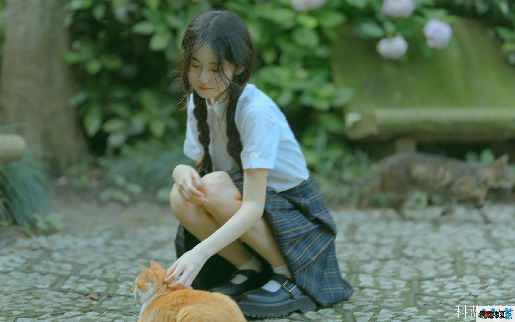 罕见病小飞侠，世界罕见病日，你了解罕见病吗