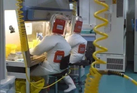 北京新发地发现新冠病毒有多长时间了？