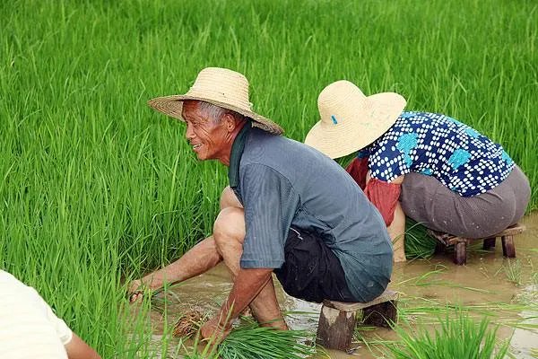 2021年重点强农惠农政策公布,这其中的政策对农民有何好处?