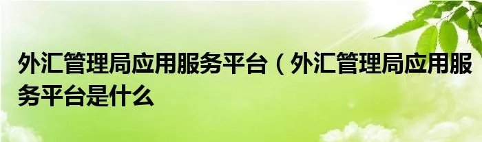 外汇管理局应用服务平台(外汇管理局应用服务平台是什么