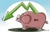 猪肉降价了，大家都实实在在的享受感觉到吗？