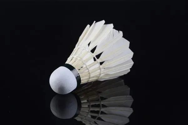 羽毛球的毛是用什么毛做的？