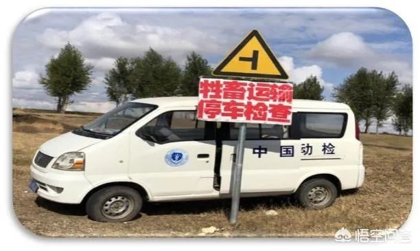 最近猪肉疫情怎么样了？