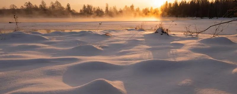 2021年数九日历表 2021数九日历时间表