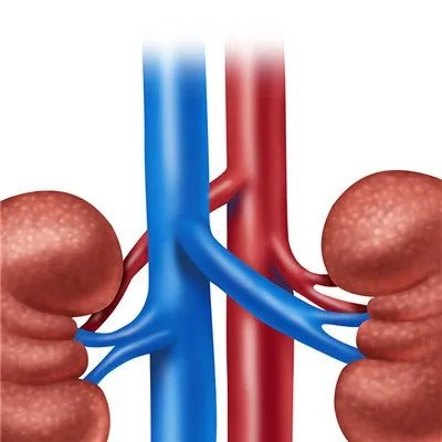 肾虚性腰痛是怎么回事啊?