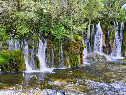 上海到九寨沟旅游