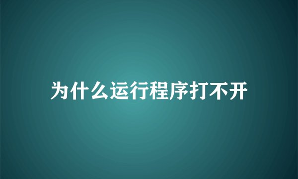 为什么运行程序打不开