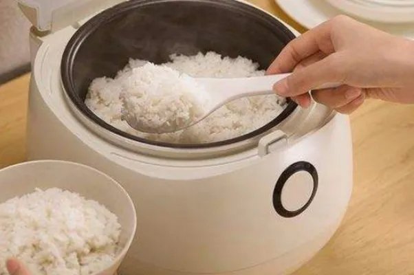 电饭煲煮饭要多久