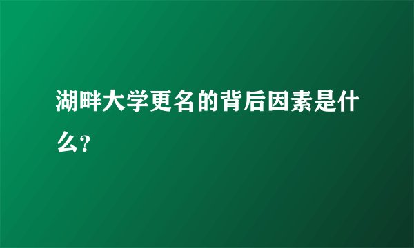 湖畔大学更名的背后因素是什么？
