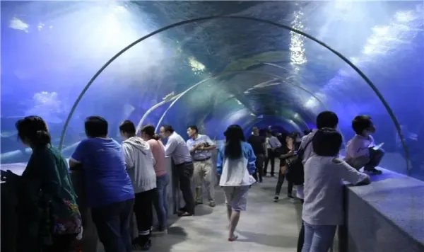 盐城旅游景点大全排名