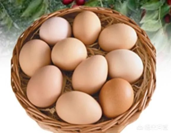 买土鸡蛋