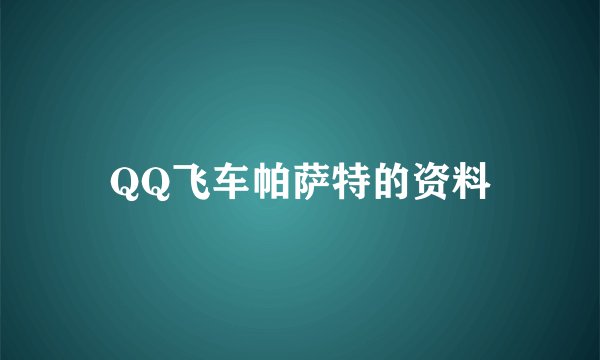 QQ飞车帕萨特的资料