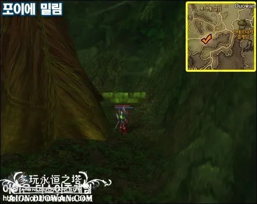 天族因特地区采泪的路线及经验技巧分享