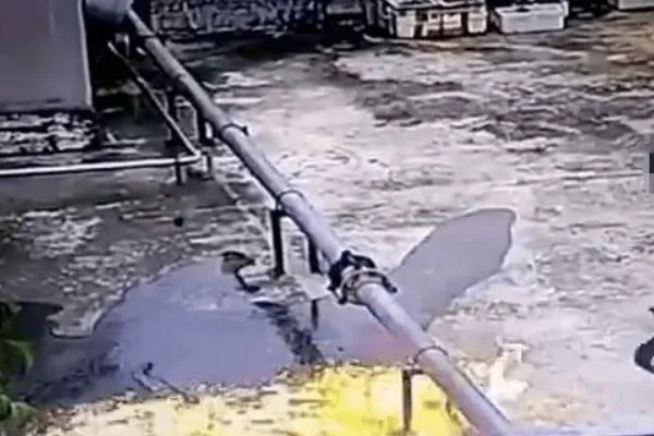 广西13岁男孩屋顶纵火,为何现在的熊孩子这么多呢?