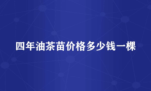 四年油茶苗价格多少钱一棵