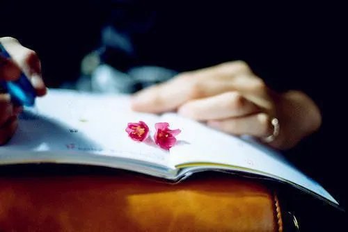 许珞段兆南小说 许珞段兆南319731免费阅读