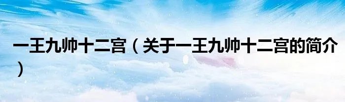 一王九帅十二宫（关于一王九帅十二宫的简介）
