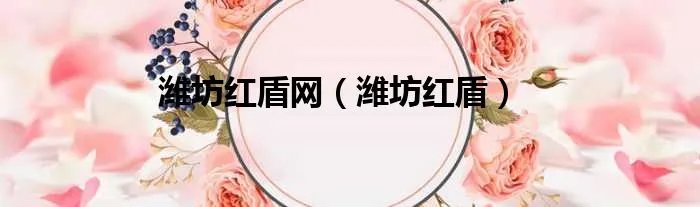 潍坊红盾网（潍坊红盾）