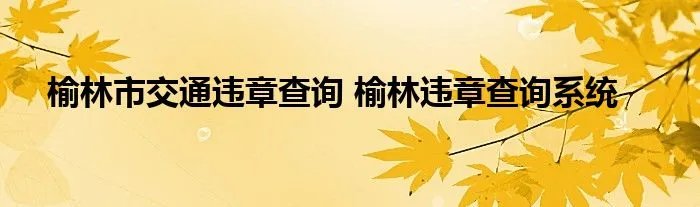 榆林市交通违章查询 榆林违章查询系统