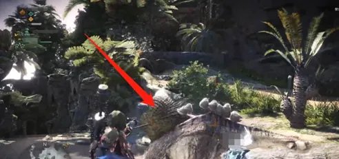 《怪物猎人世界》幻鸟的捕获方法