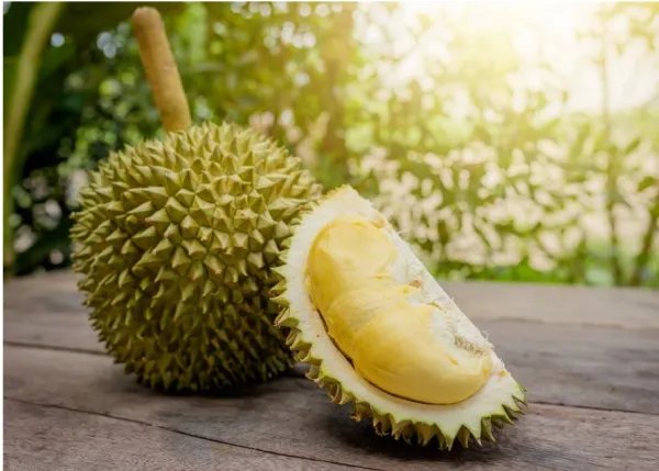 49吨榴莲销毁成有机肥，榴莲也能做有机肥吗？