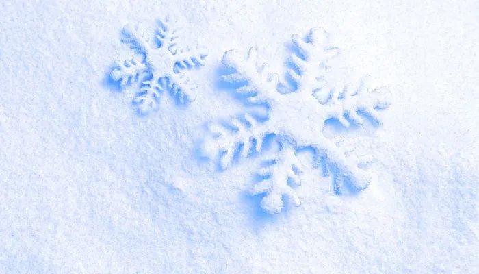 2021年数九日历表 2021数九日历时间表