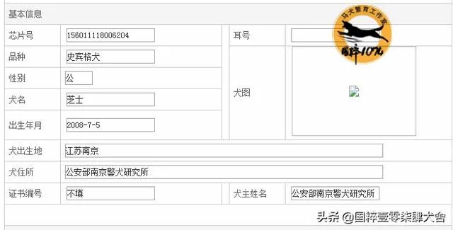 警犬跑入一个派出所,派出所的警察能认出吗?
