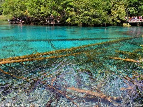 上海到九寨沟旅游