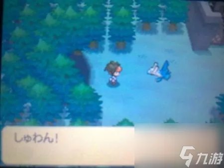 口袋妖怪黑白2二周目全要素图文攻略