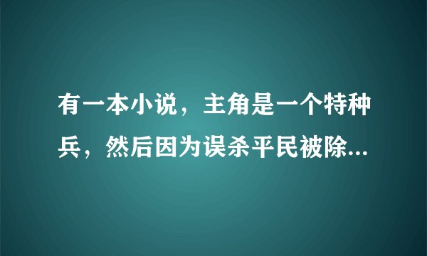 有一本小说，主角是一个特种兵，然后因为误杀平民被除名了，后来做了一个保镖，小说叫什么名字啊
