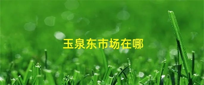 玉泉东市场在哪