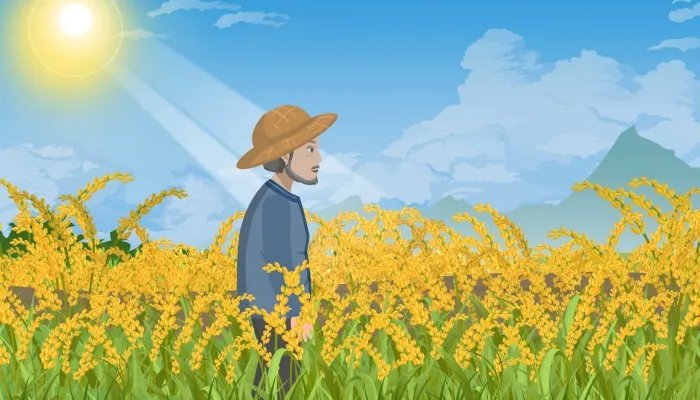 今年夏至是哪一天