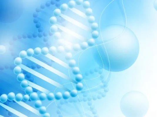 怎样做亲子鉴定