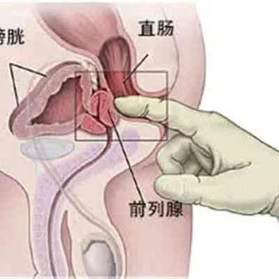 大阴茎是靠“练”出来的