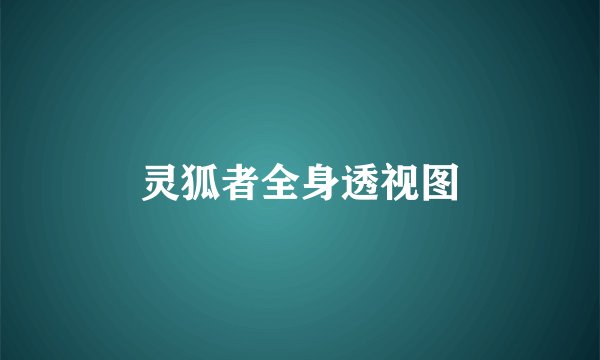灵狐者全身透视图