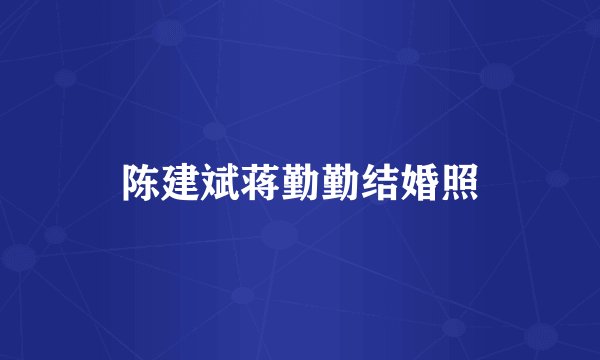 陈建斌蒋勤勤结婚照