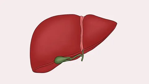 什么是爆发性乙肝