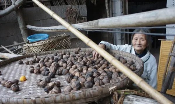 四川夫妻住岩洞生活约60年,在岩洞生活有何利弊?