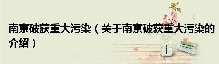 南京破获重大污染（关于南京破获重大污染的介绍）