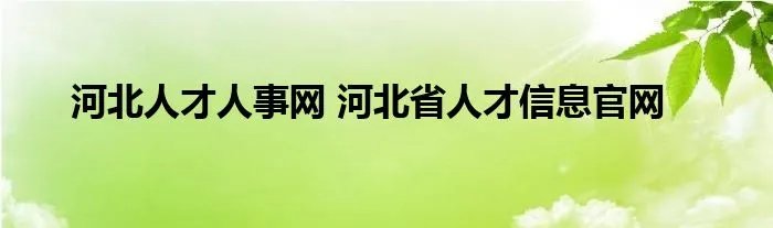 河北人才人事网 河北省人才信息官网