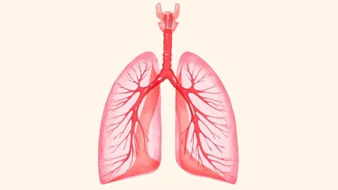 结核病是一种什么病